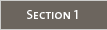 Section 1