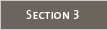 Section 3