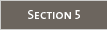 Section 5